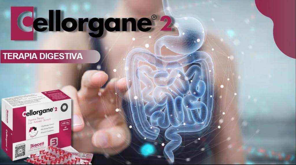 nuevo cellorgane 2