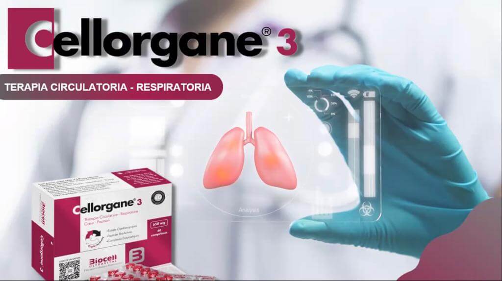 nuevo cellorgane 3